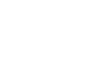 ico-linkedin